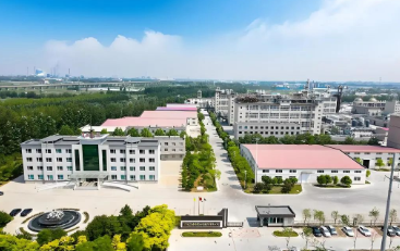 福建利達助力遼寧鼎際得石化項目