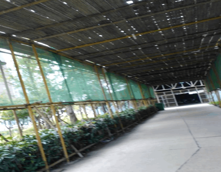 福建室外通道的定義